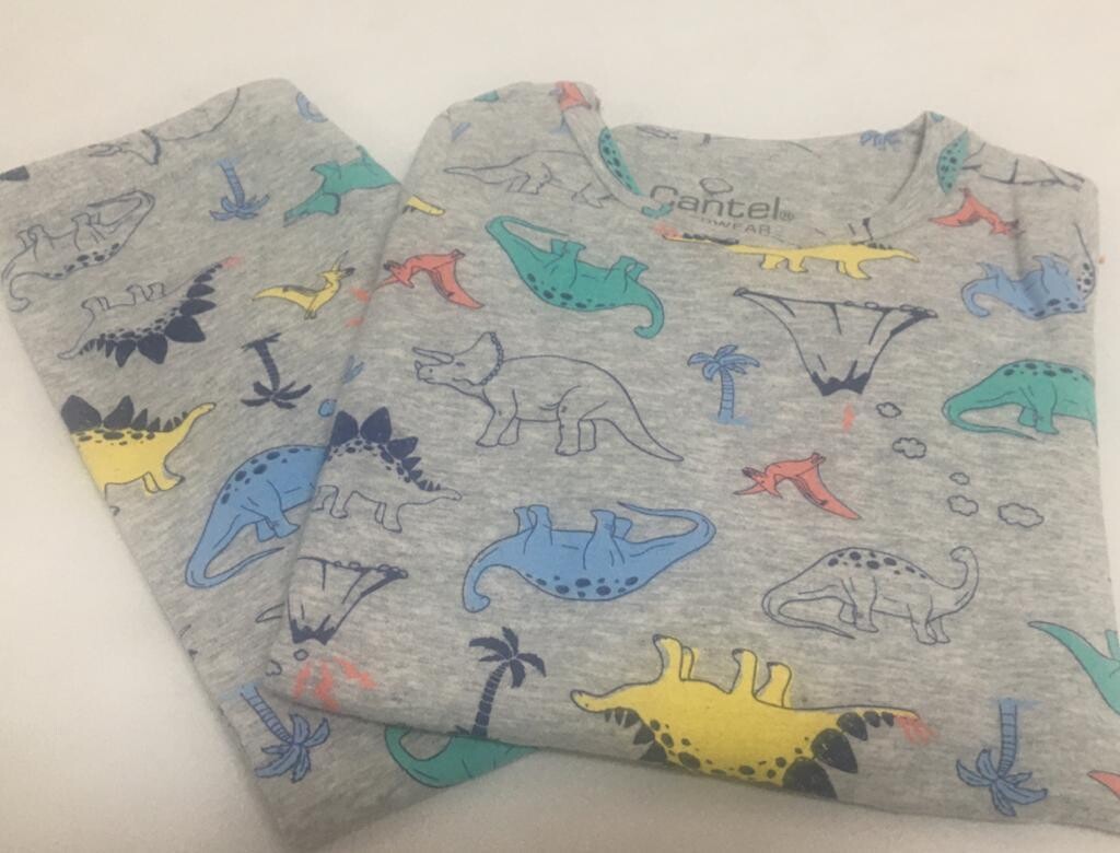 Pijama De Algodón Para Niño Grey Dinosaur