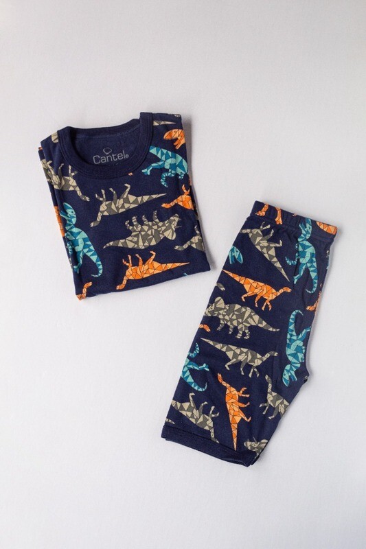 Pijama De Algodón Para Niño H863/TZ343 mirror dinosaur