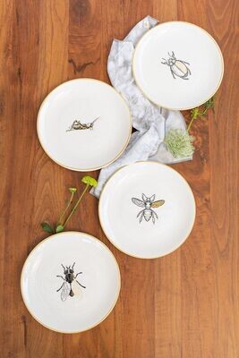 Set de 4 platos 8" cerámica decorados "Insectos"