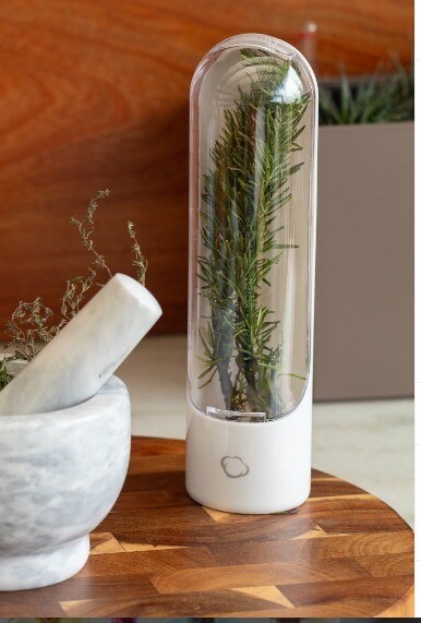 Envase organizador y protector de hierbas para refrigeradora