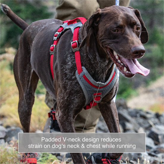 kurgo journey air harness