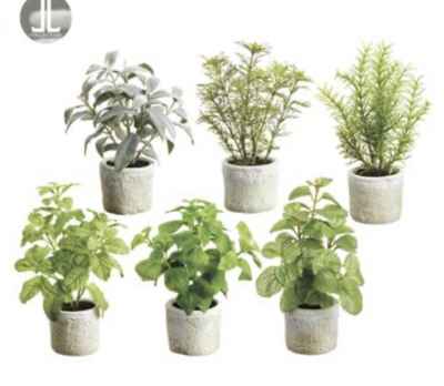 Potted Herb