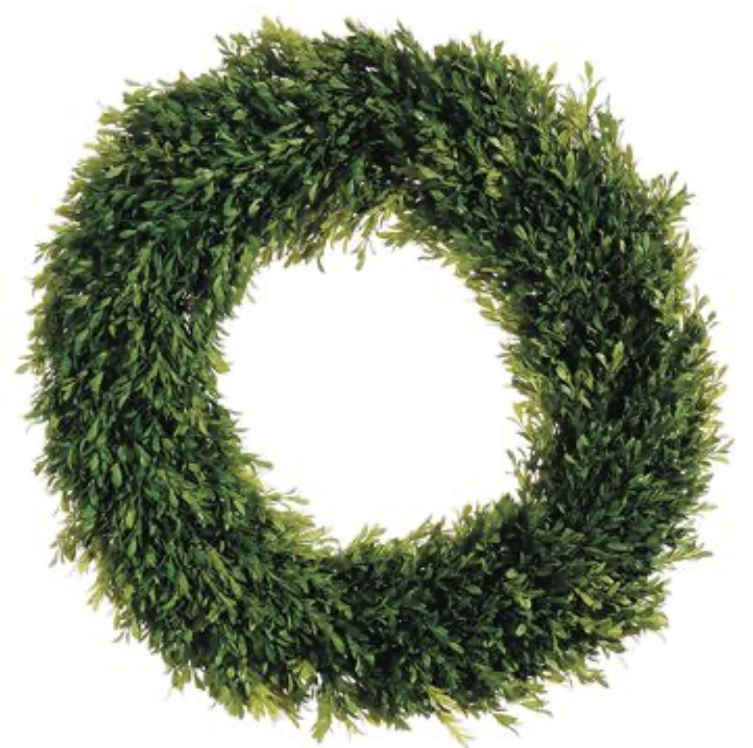 Tea Leaf 24&quot;