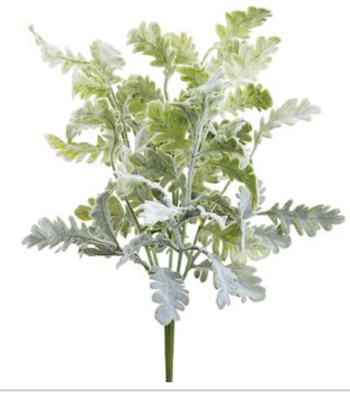 18&quot; Dusty Miller