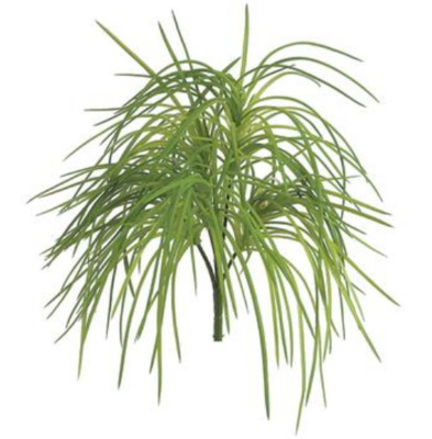 Soft Grass Bush