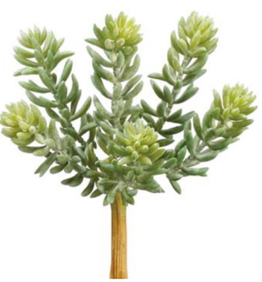 Soft Sedum Pick