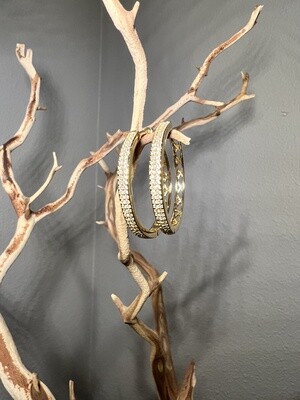 Goldie Hoops