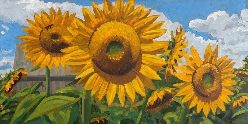 Original oil painting of a sunflower field.
