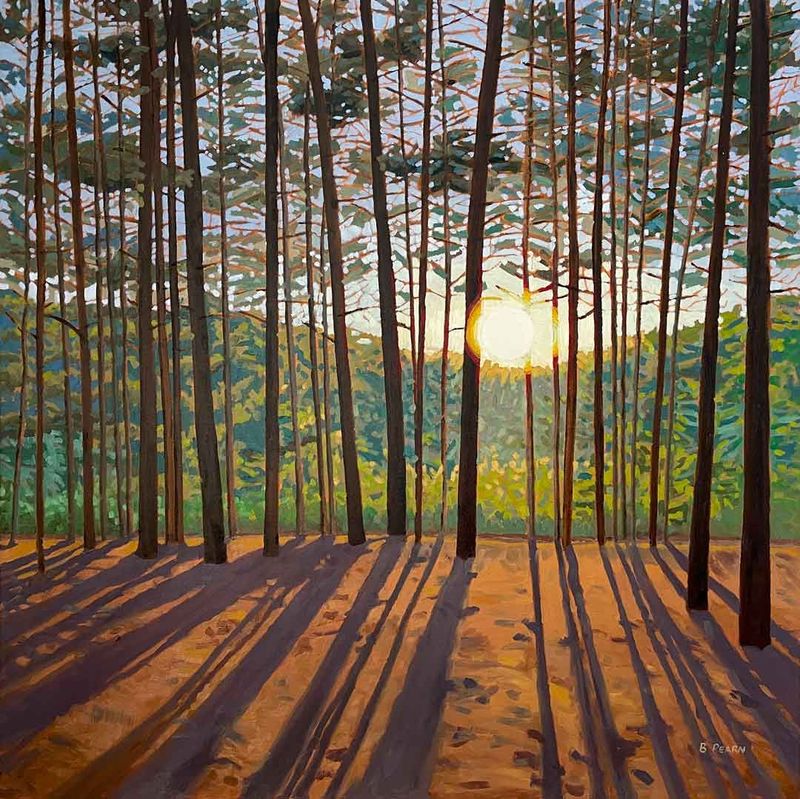 36 x 36" The Forest Calls Me