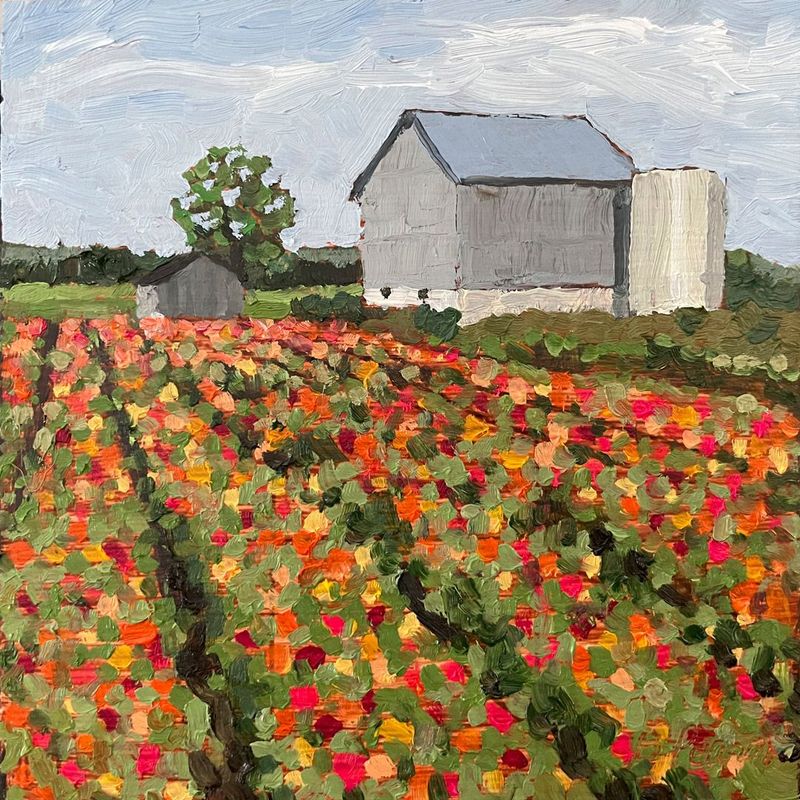 6x6" The Zinnia Field