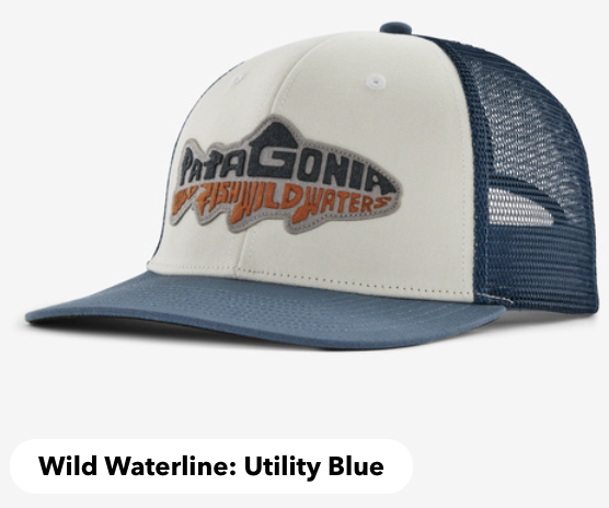 Patagonia Take a Stand Trucker