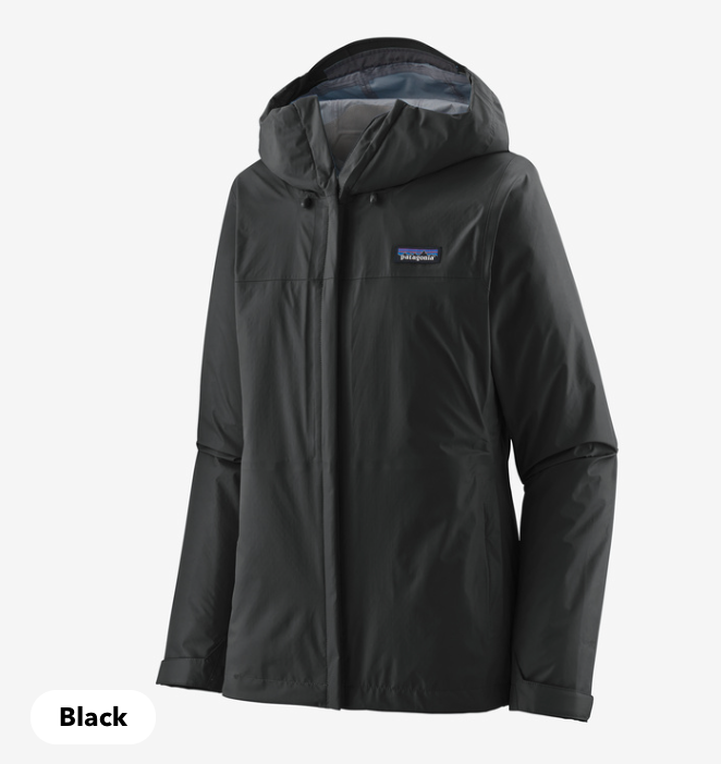Patagonia W&#39;s Torrentshell 3L Jacket 