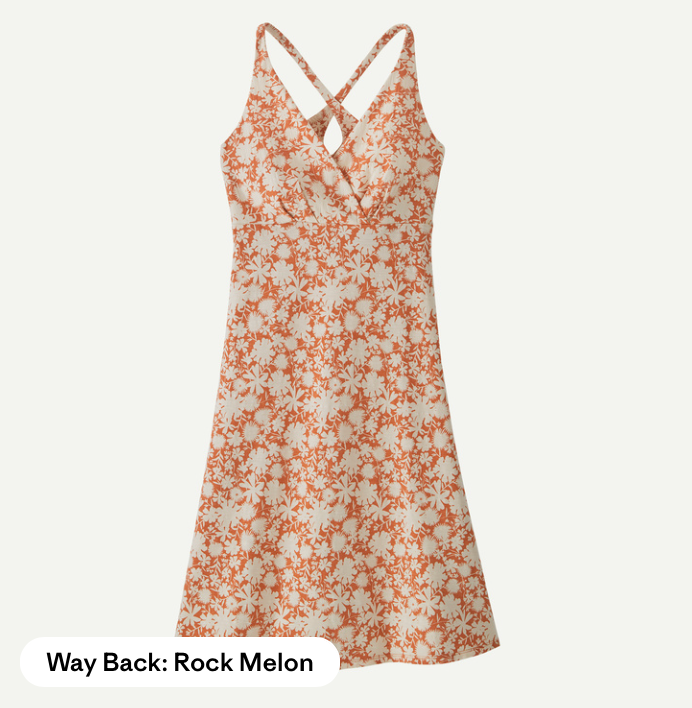 Patagonia W&#39;s Amber Dawn Dress