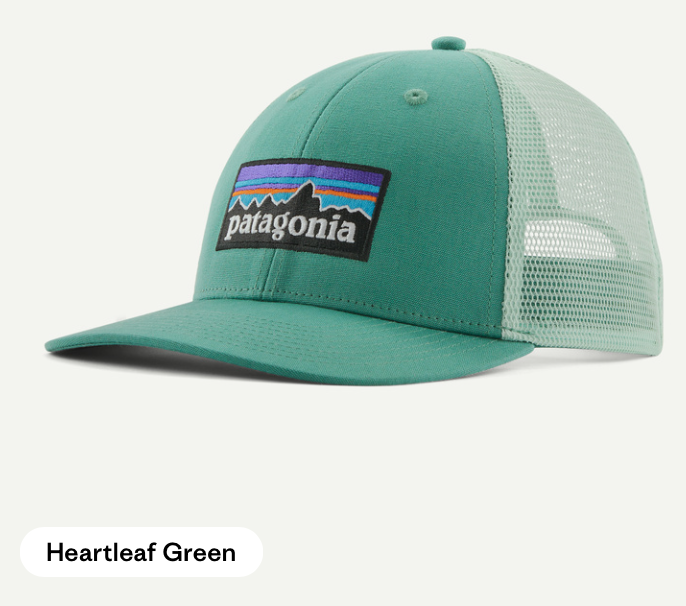 Patagonia P-6 Logo LoPro Trucker