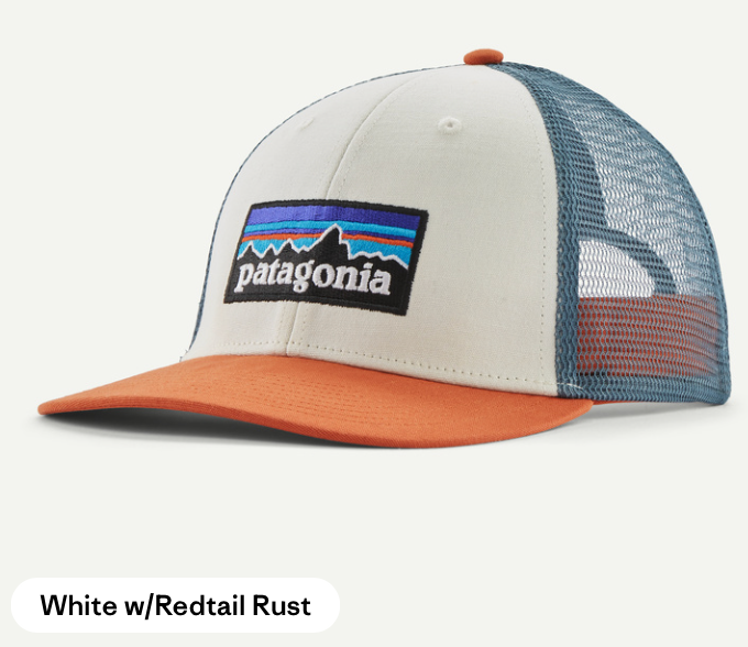 Patagonia P-6 Logo LoPro Trucker
