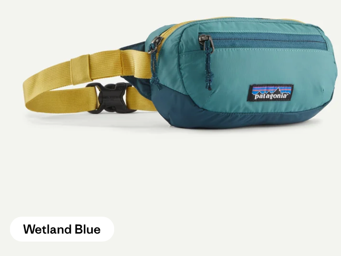Patagonia Terravia Mini Hip Pack