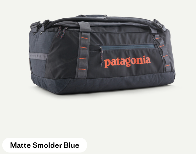 Patagonia Black Hole Duffel 40L