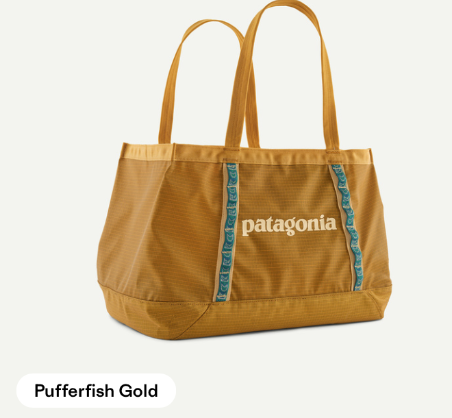 Patagonia Black Hole Tote 25L