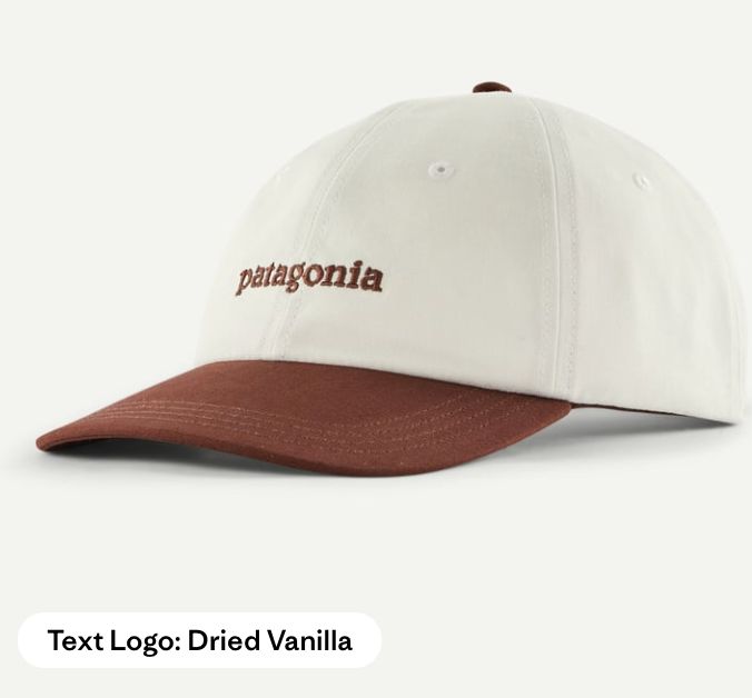 Patagonia Fitz Roy Icon Trad Cap