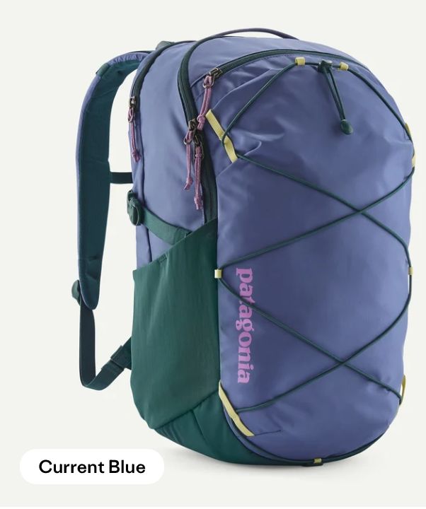 Patagonia Refugio Day Pack 30L