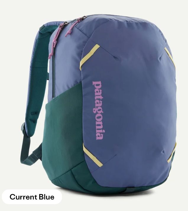 Patagonia Atom Day Pack 24L