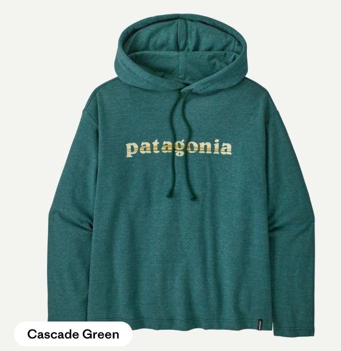 Patagonia M&#39;s LW &#39;73 Text Logo Wildrise Hoody