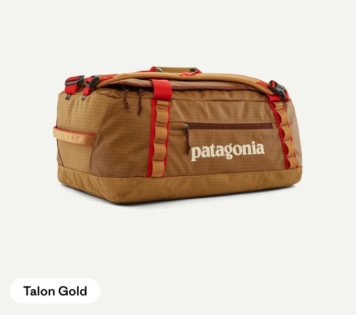 Patagonia Black Hole Duffel 40L