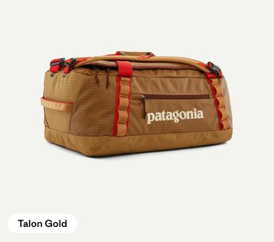 Patagonia Black Hole Duffel 40L Patagonia Black Hole Duffel 40L