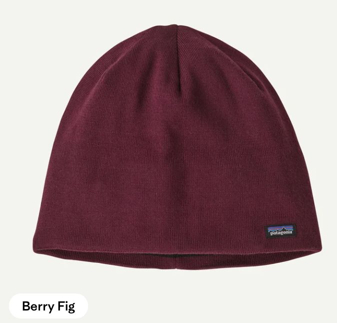 Patagonia Beanie Hat Patagonia Beanie Hat