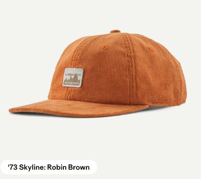 Patagonia Corduroy Cap