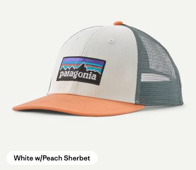 Patagonia P-6 Logo LoPro Trucker