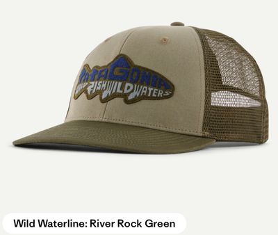 Patagonia Take a Stand Trucker