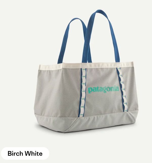 Patagonia Black Hole Tote 25L