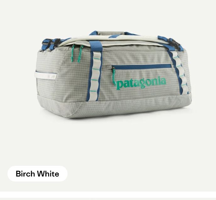Patagonia Black Hole Duffel 40L