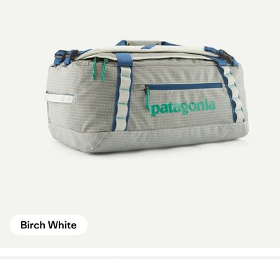Patagonia Black Hole Duffel 40L