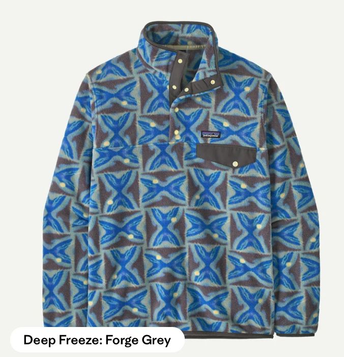 Patagonia M's LW Synch Snap-T P/O