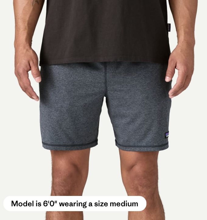 Patagonia M's 2-Loose Shorts