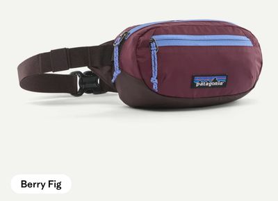 Patagonia Terravia Mini Hip Pack