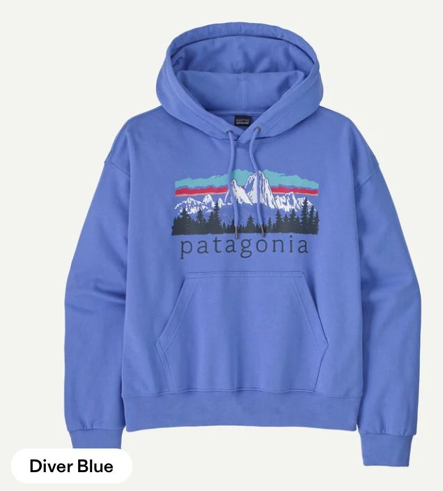 Patagonia W's Fitz Roy Foothills Daily Hoody