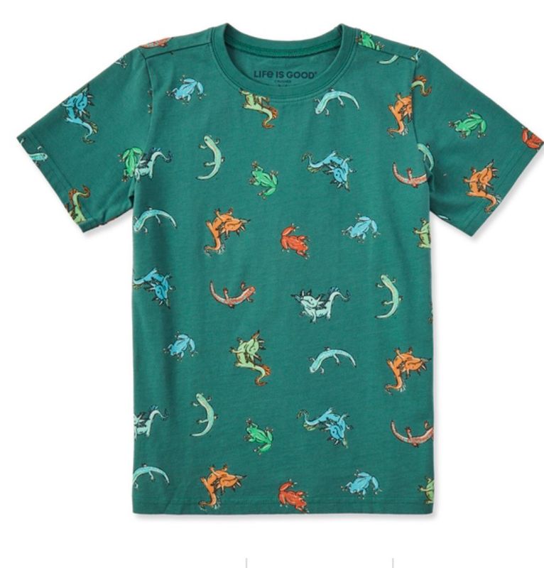 Life Is Good Axolotl And Amphibians Tee