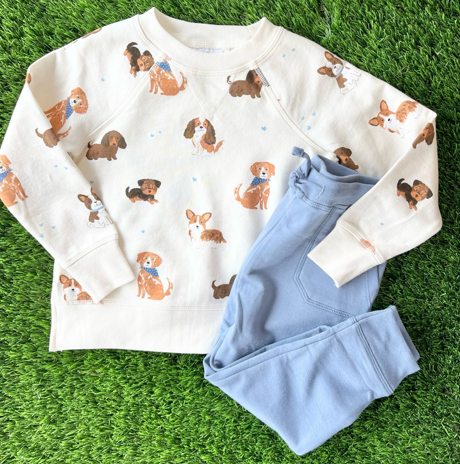 556 Best Friend Sweatshirt Jogger Set