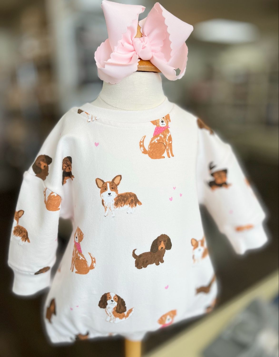 557 Best Friends Pink Sweatshirt Bubble