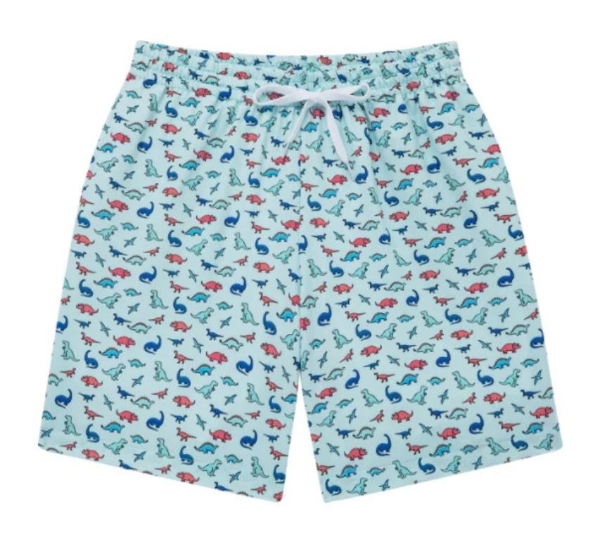 236 Dino Swim Trunks