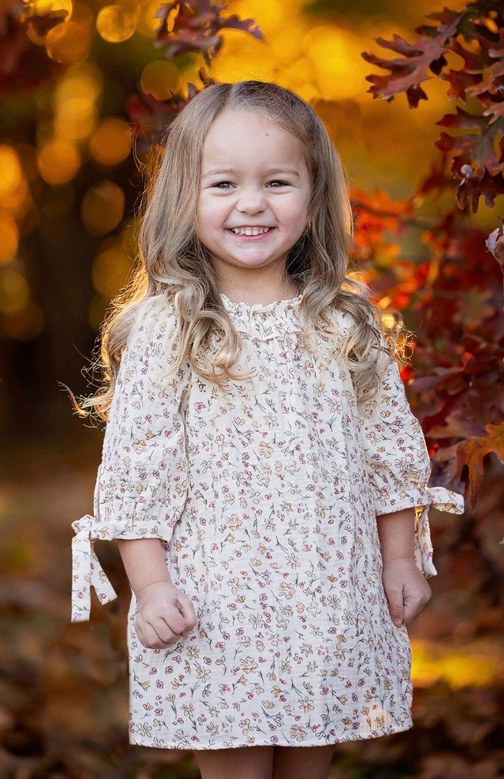 731 Autumn Breeze Dress