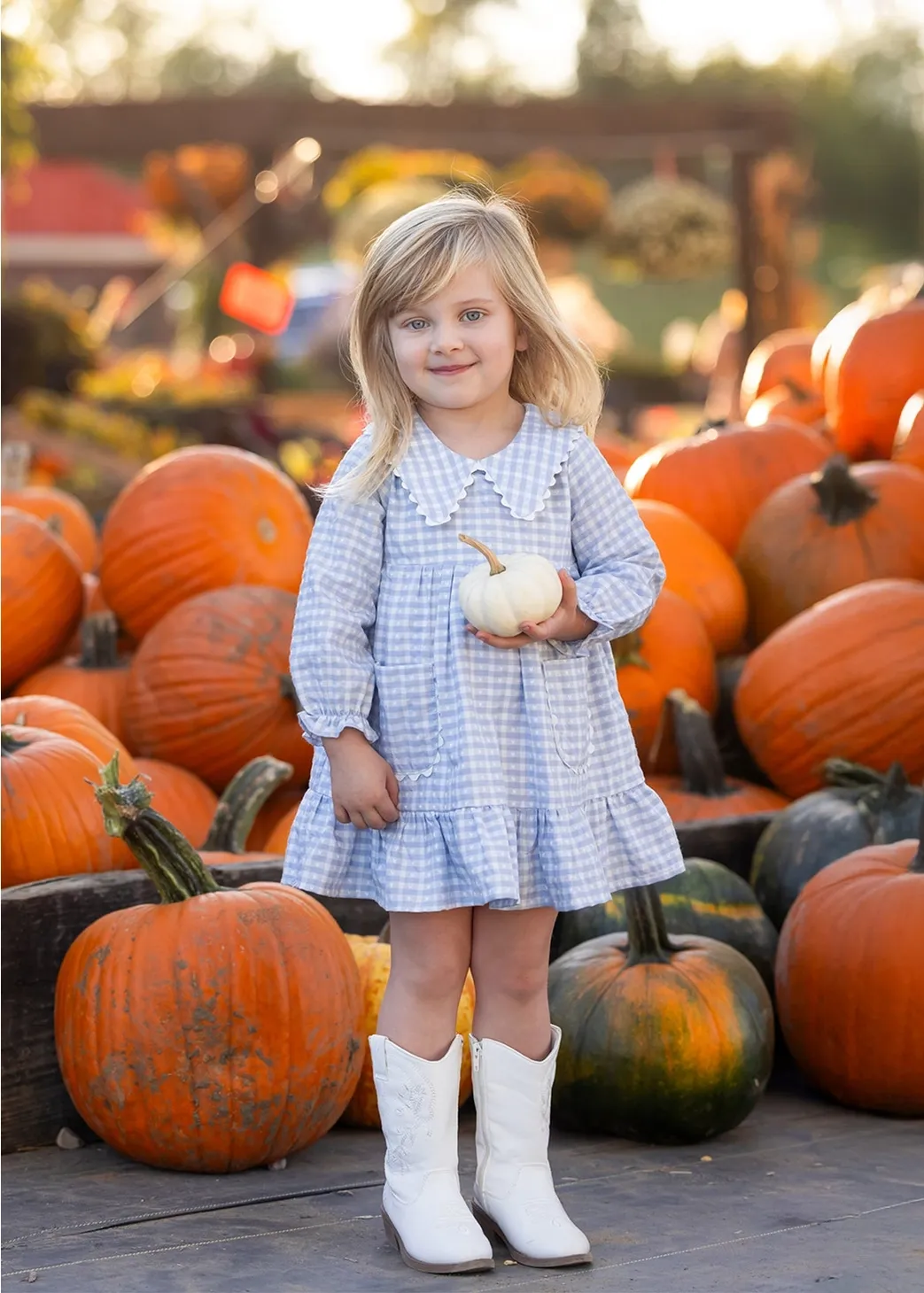 216 Ella Rae Gingham Dress