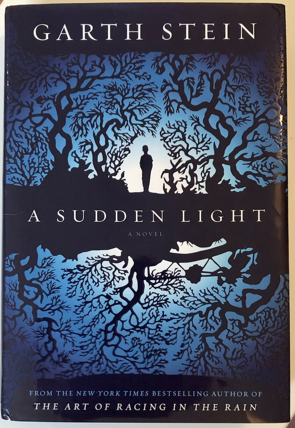 A Sudden Light: A Novel SIGNED