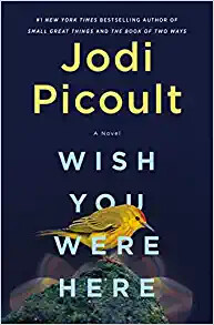 Wish You Were Here: A Novel NEW, 20% OFF