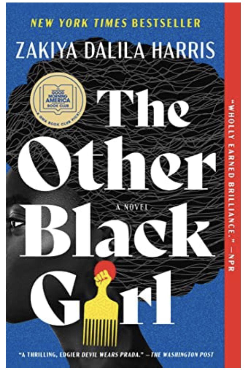 The Other Black Girl: A Novel NEW, 42% OFF