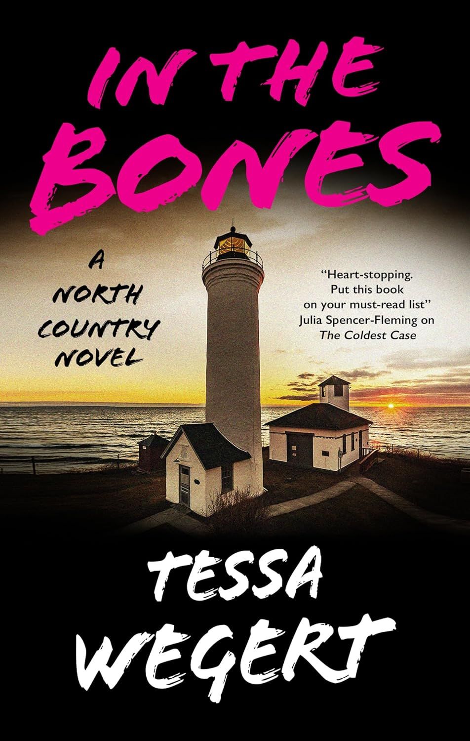 In the Bones (A North Country Novel, 1)