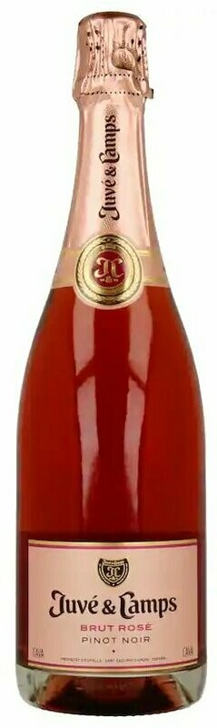 Cava brut rosado Juvé & Camps 75 cl.